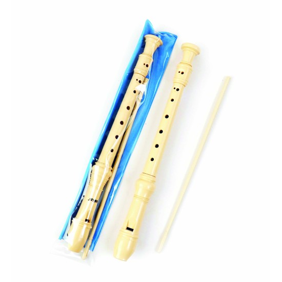 Φλογέρα πλαστική σε θήκη